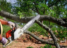 Best Lawn Grading and Leveling  in Carlisle, IA